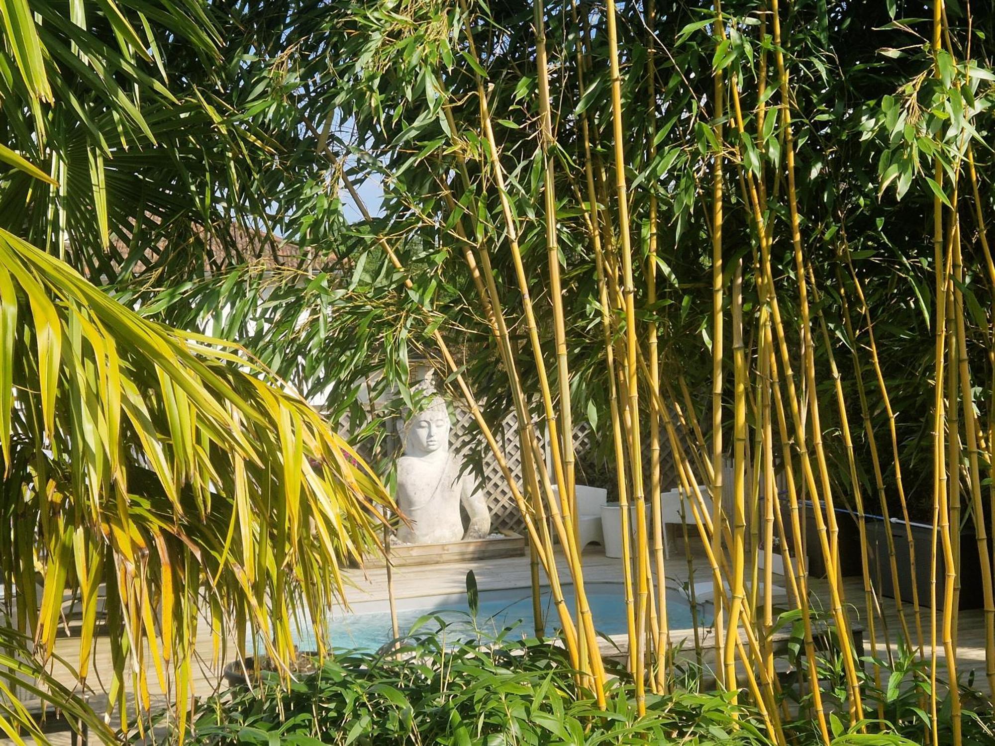 La Serenite Balinaise, Chambre Et Sdb Privee, Jardin , Piscine Et Jacuzzi En Saison, Pres De Chantilly, Parc Asterix Et Cdg Et Paris En 20' Orry-La-Ville Extérieur photo