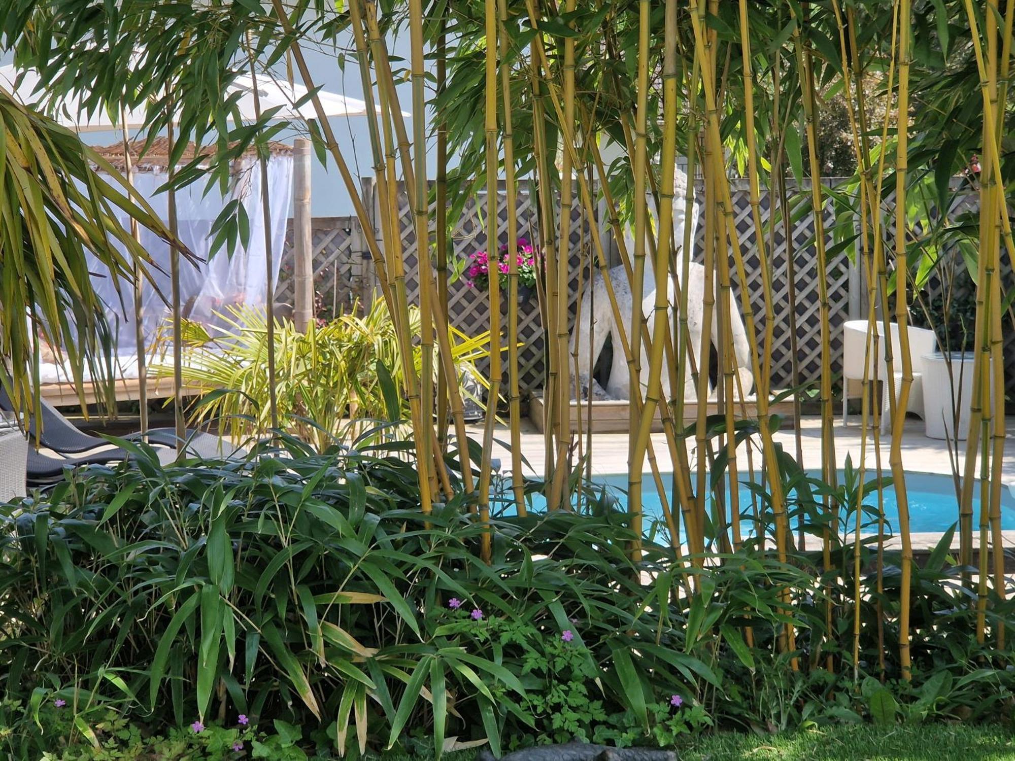 La Serenite Balinaise, Chambre Et Sdb Privee, Jardin , Piscine Et Jacuzzi En Saison, Pres De Chantilly, Parc Asterix Et Cdg Et Paris En 20' Orry-La-Ville Extérieur photo